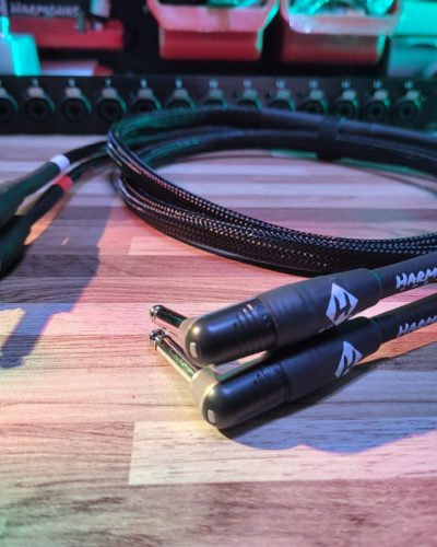 1 Cabo Duplo P10 x P10L Rean Premium